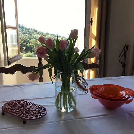 Fontana Piubica Davia Pigna